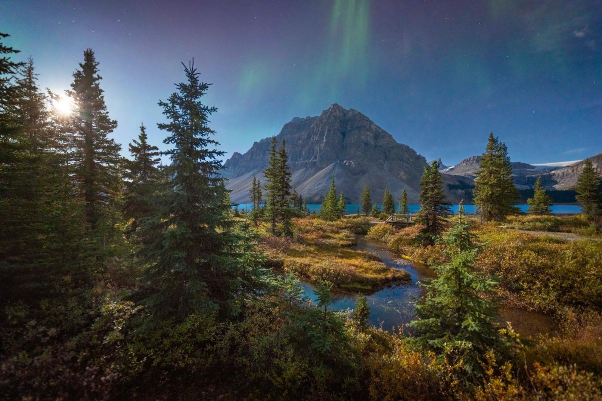 The Lodge At Bow Lake Лейк-Луїз Екстер'єр фото
